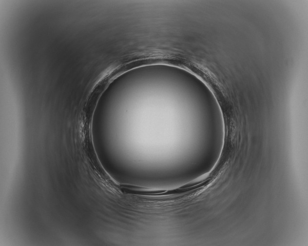 X0000113561163200909181214