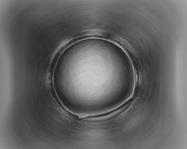 X0000113561164200909181214