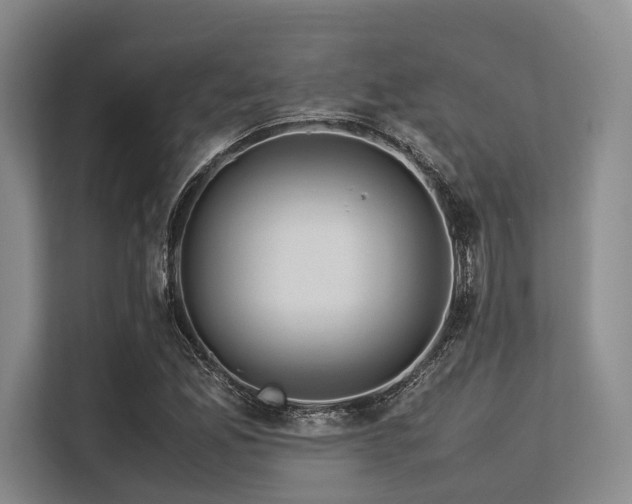 X0000113561165200909181214