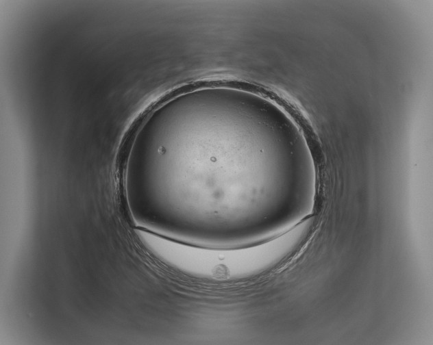 X0000113561167200909181214