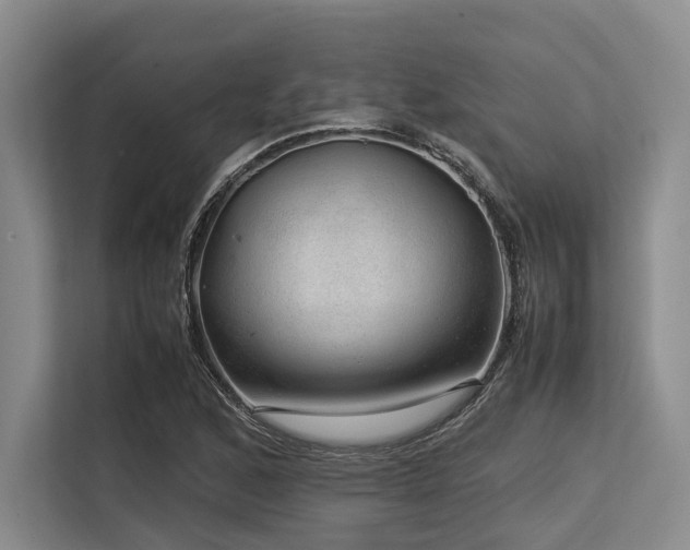X0000113561168200909181214