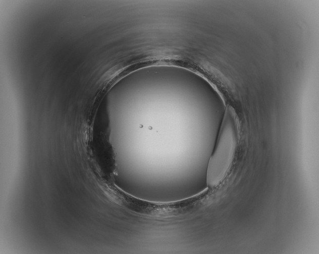 X0000113561169200909181213