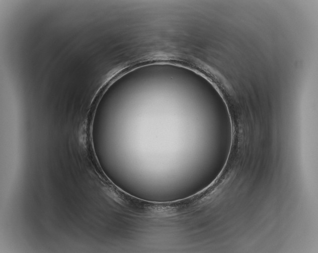 X0000113561170200909181213