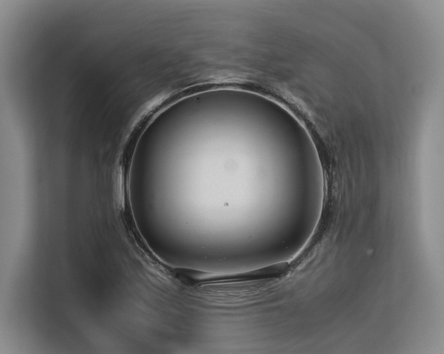 X0000113561171200909181213