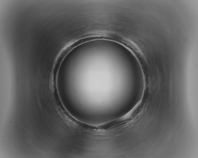 X0000113561172200909181213