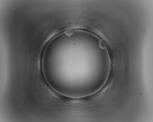 X0000113561173200909181213