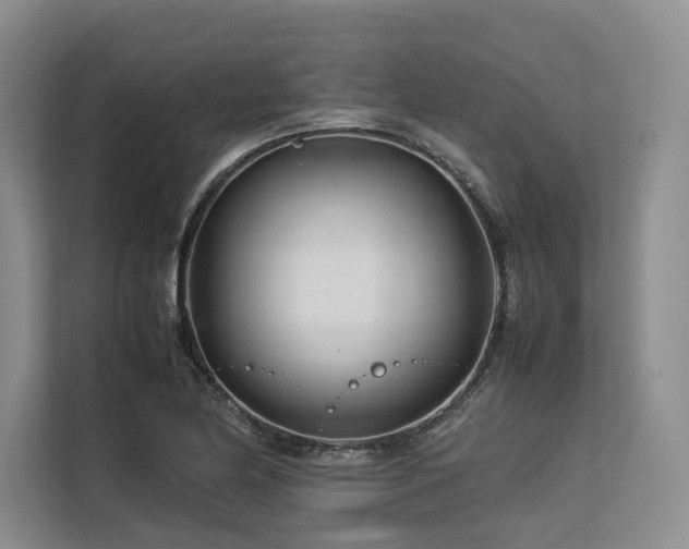 X0000113561174200909181213