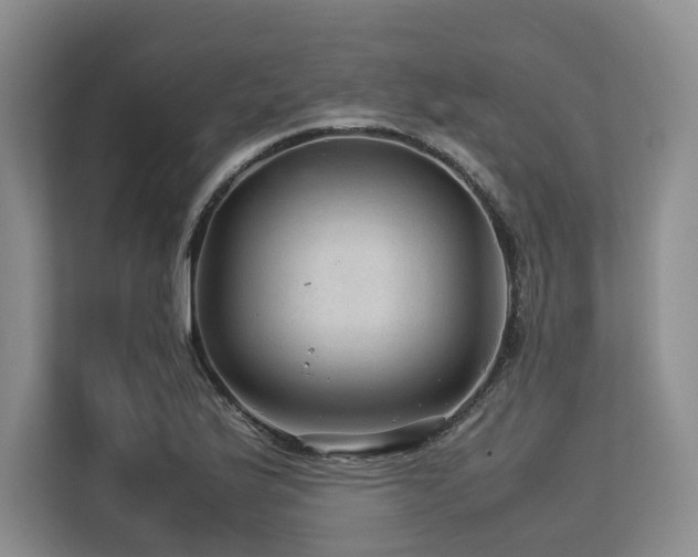 X0000113561175200909181213