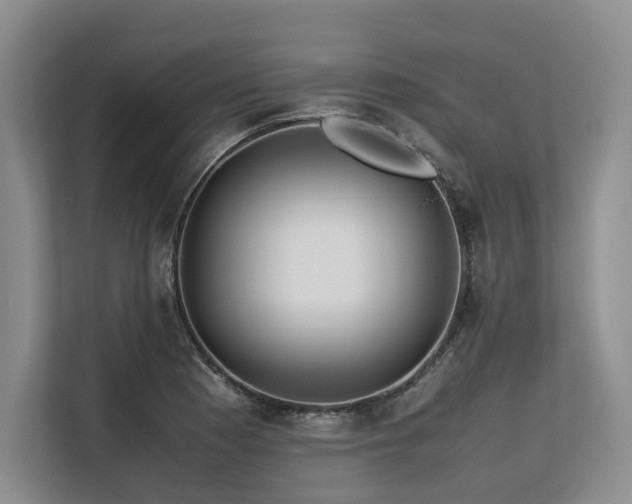 X0000113561177200909181213
