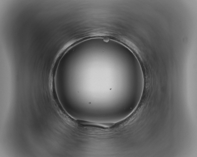 X0000113561179200909181213