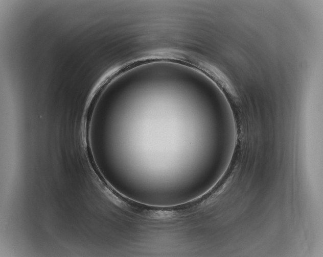X0000113561180200909181213
