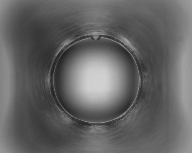 X0000113561181200909181213