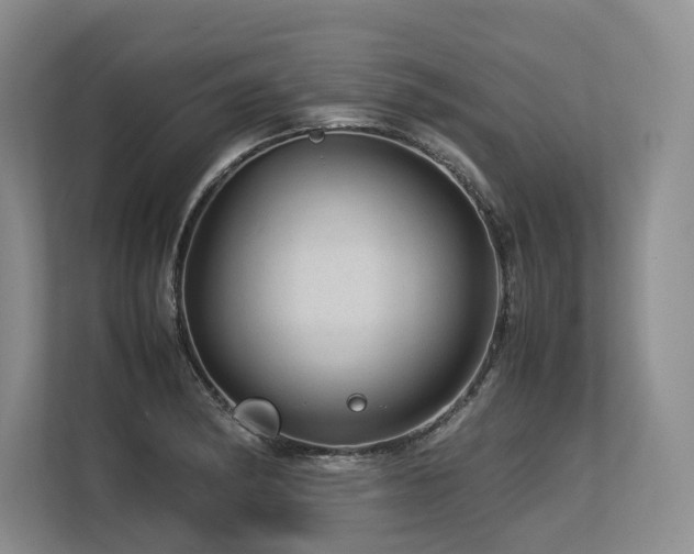 X0000113561182200909181213