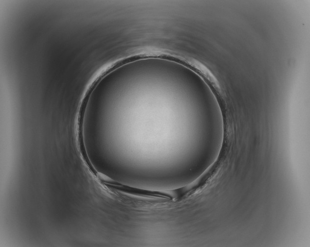 X0000113561183200909181213