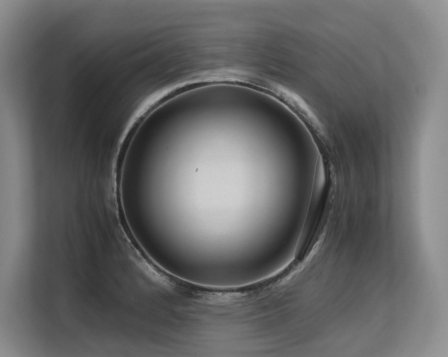 X0000113561184200909181213