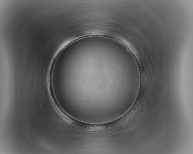 X0000113561187200909181213