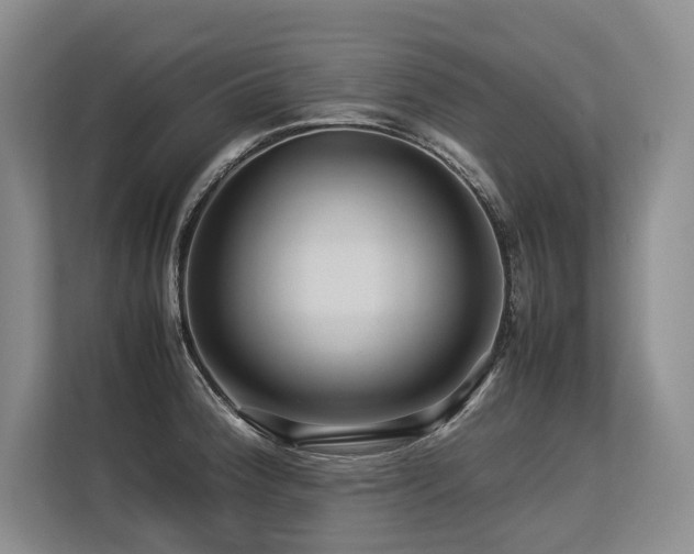 X0000113561188200909181213