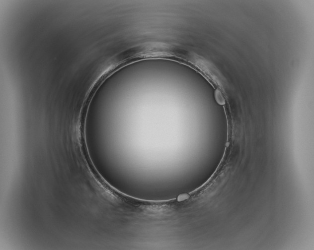 X0000113561189200909181213