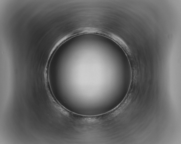 X0000113561190200909181213