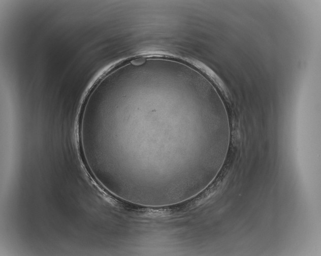 X0000113561191200909181213