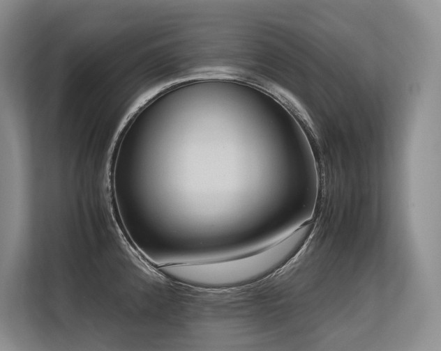 X0000113561192200909181213