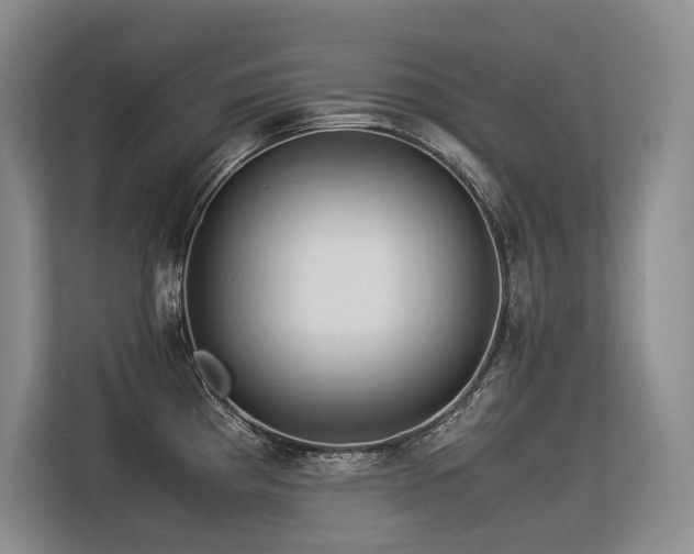 X0000113561193200909181213