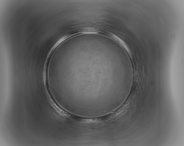 X0000113561195200909181213
