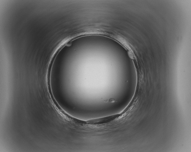 X0000113561197200909181213