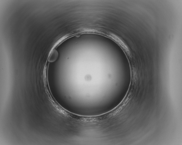 X0000113561198200909181213