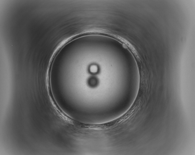 X0000113561199200909181213