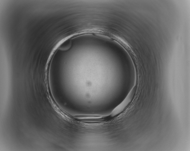X0000113561200200909181213