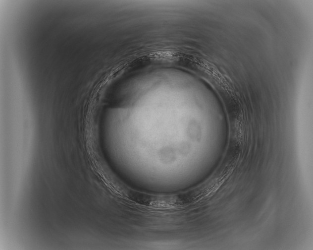 X0000113561201200909181212