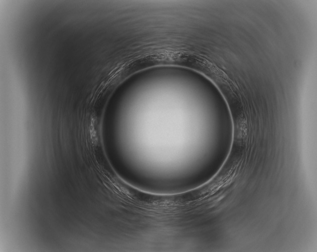 X0000113561202200909181212