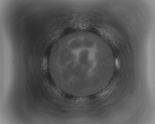X0000113561203200909181212
