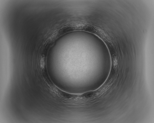 X0000113561204200909181213
