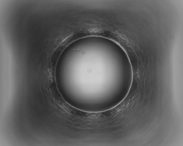X0000113561205200909181213