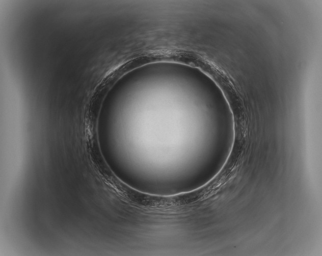 X0000113561206200909181213