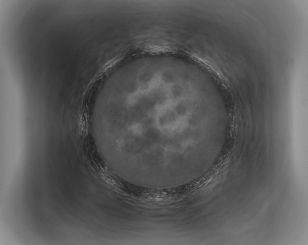 X0000113561207200909181213