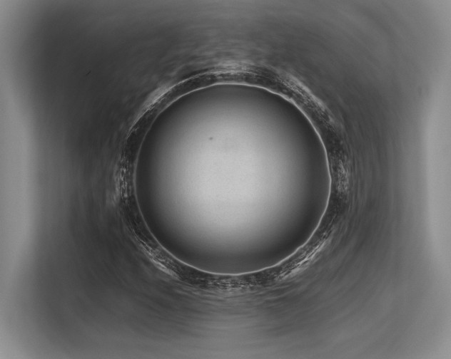 X0000113561208200909181213