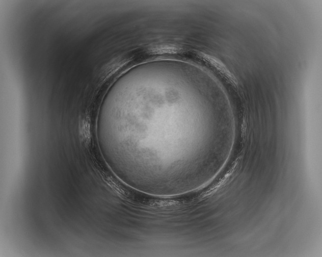 X0000113561209200909181213