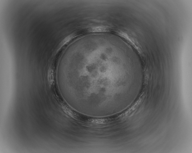 X0000113561211200909181213