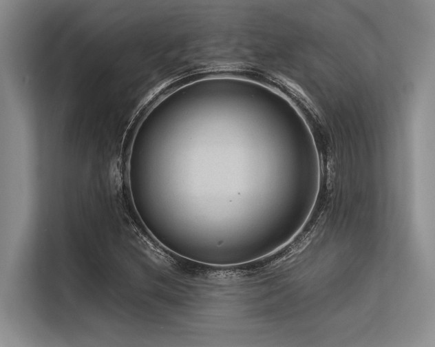 X0000113561212200909181213