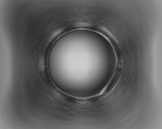 X0000113561213200909181213