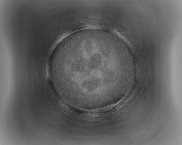 X0000113561215200909181213