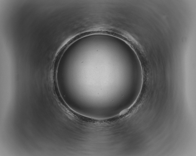 X0000113561216200909181213