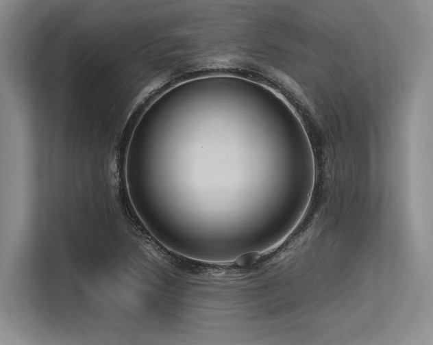 X0000113561218200909181213