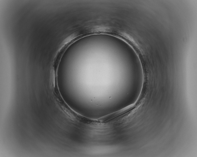 X0000113561219200909181213