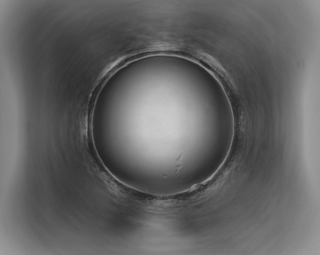 X0000113561220200909181213