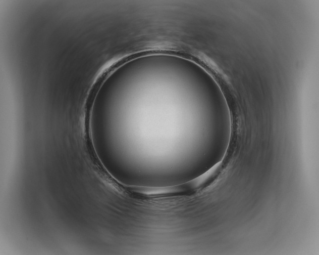X0000113561222200909181213