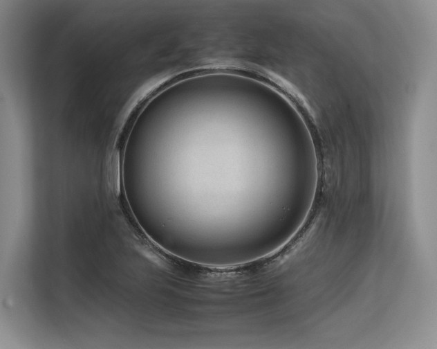 X0000113561223200909181213